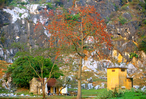 Thắng cảnh Ch&ugrave;a Trầm giữa H&agrave; Nội